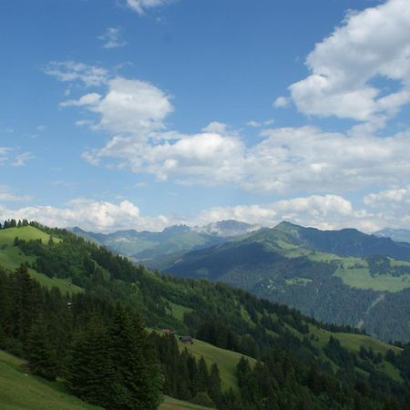 Gaestehaus Alpina In Fanas ภายนอก รูปภาพ